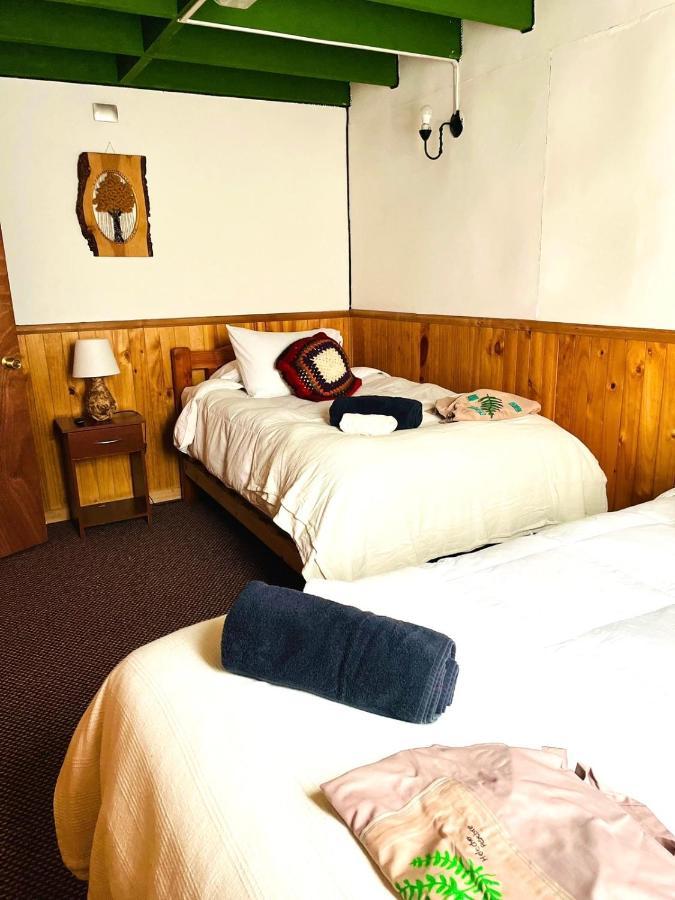 Profe Nelson Hostel Puerto Cisnes Ngoại thất bức ảnh
