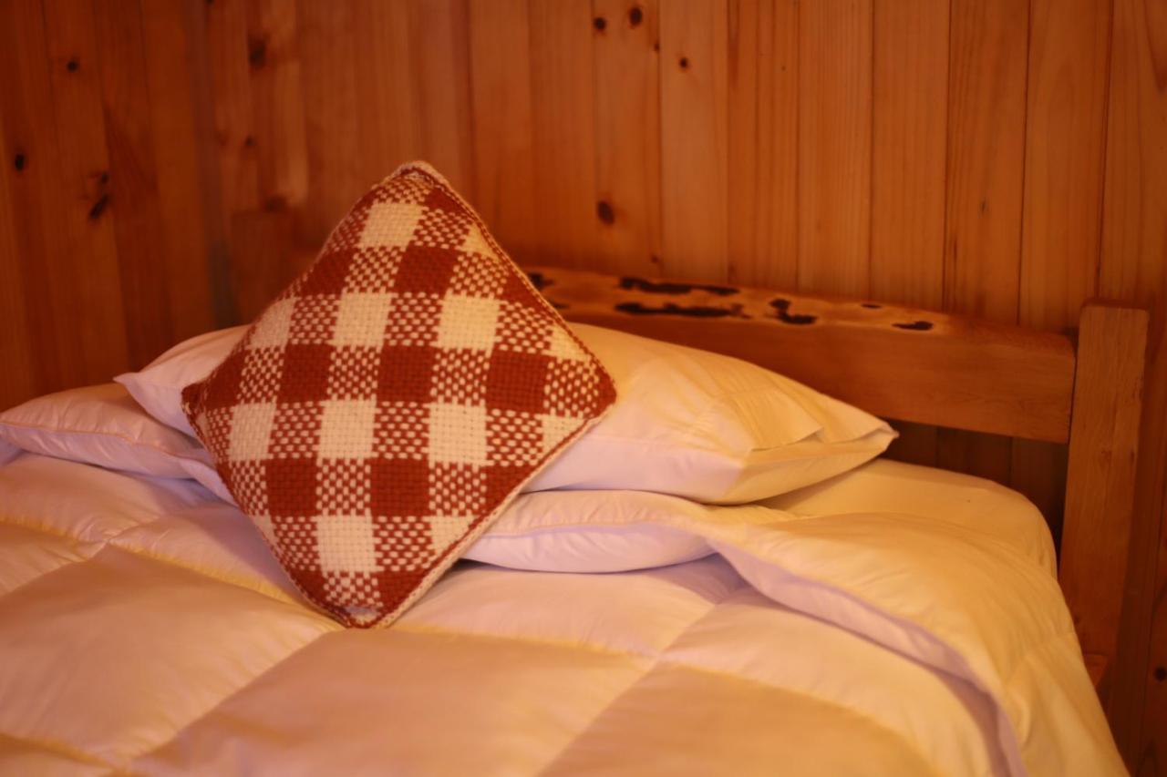 Profe Nelson Hostel Puerto Cisnes Ngoại thất bức ảnh