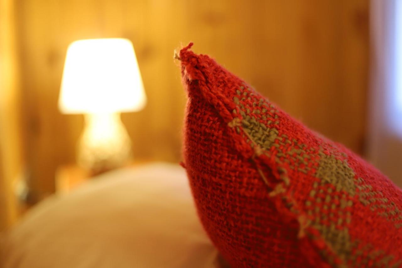 Profe Nelson Hostel Puerto Cisnes Ngoại thất bức ảnh